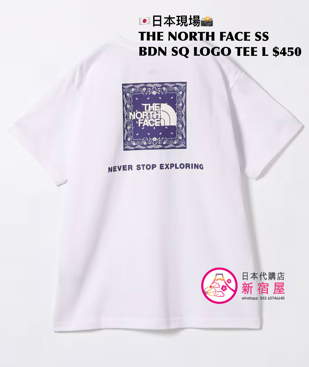 THE NORTH FACE S/S BANDANA SQUARE LOGO TEE
