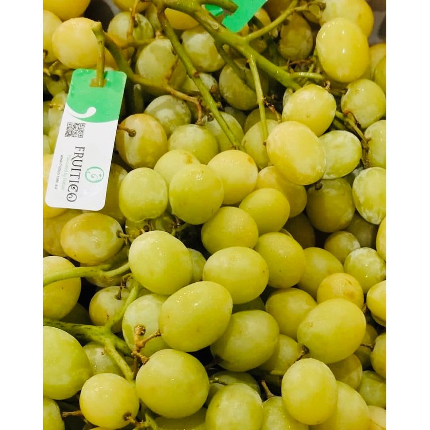 澳洲波子無核青提 (Autumn Crisps Grape) $65/磅