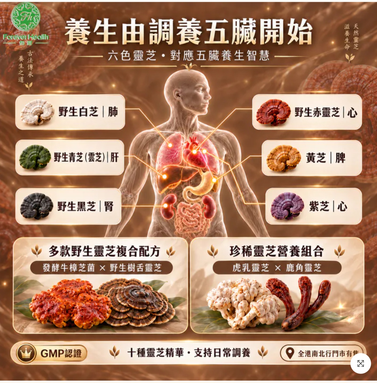 恆健~野生全靈芝(288一盒 268買三平均價)