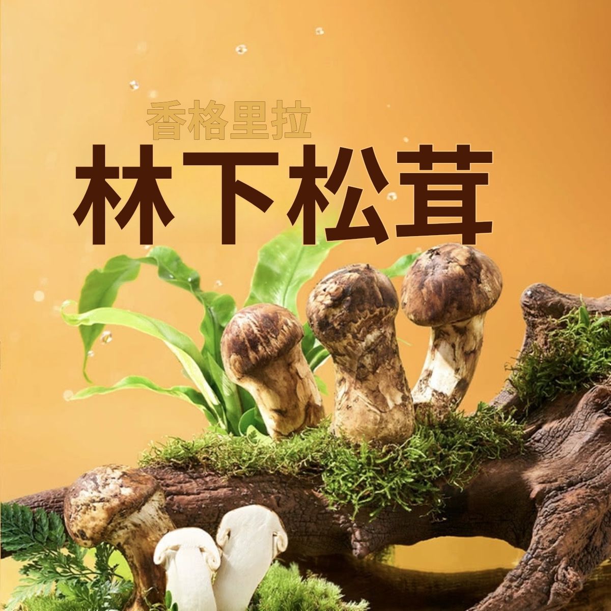 Member's Mark - 飪掌門 大閘蟹蟹黃拌麵 915G 平行進口 (01283)