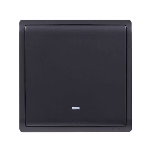 施耐德 Pieno 寫意黑 1位雙控 開關掣