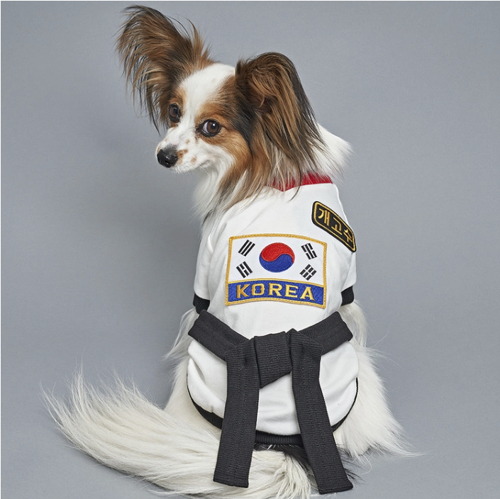 *SuperPet 🇰🇷 寵物跆拳道服（DG192）