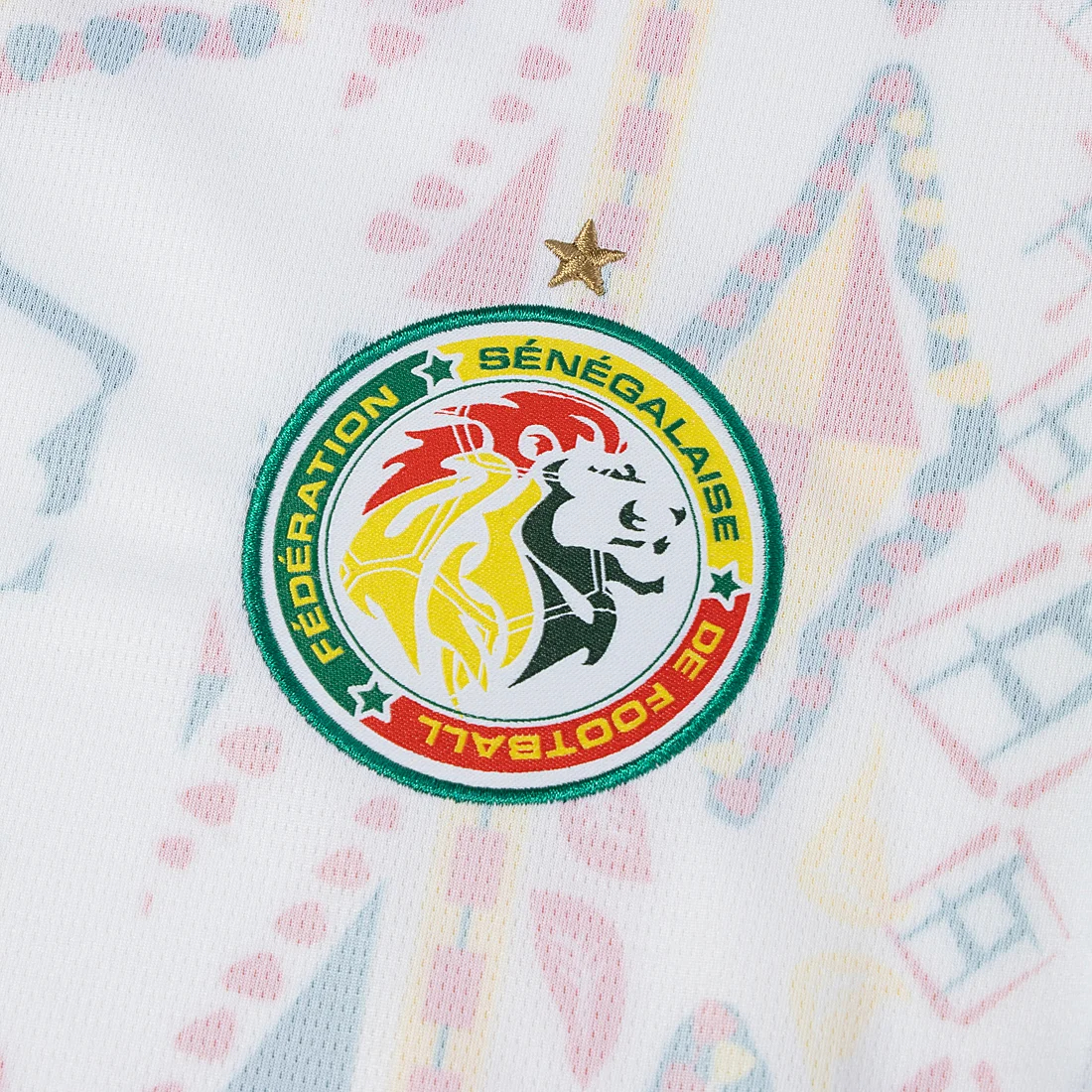 🎨源自達喀爾街頭的移動藝術 Puma Senegal 塞內加爾 2026-27 主場球迷版球衣 (可加印字) 783171