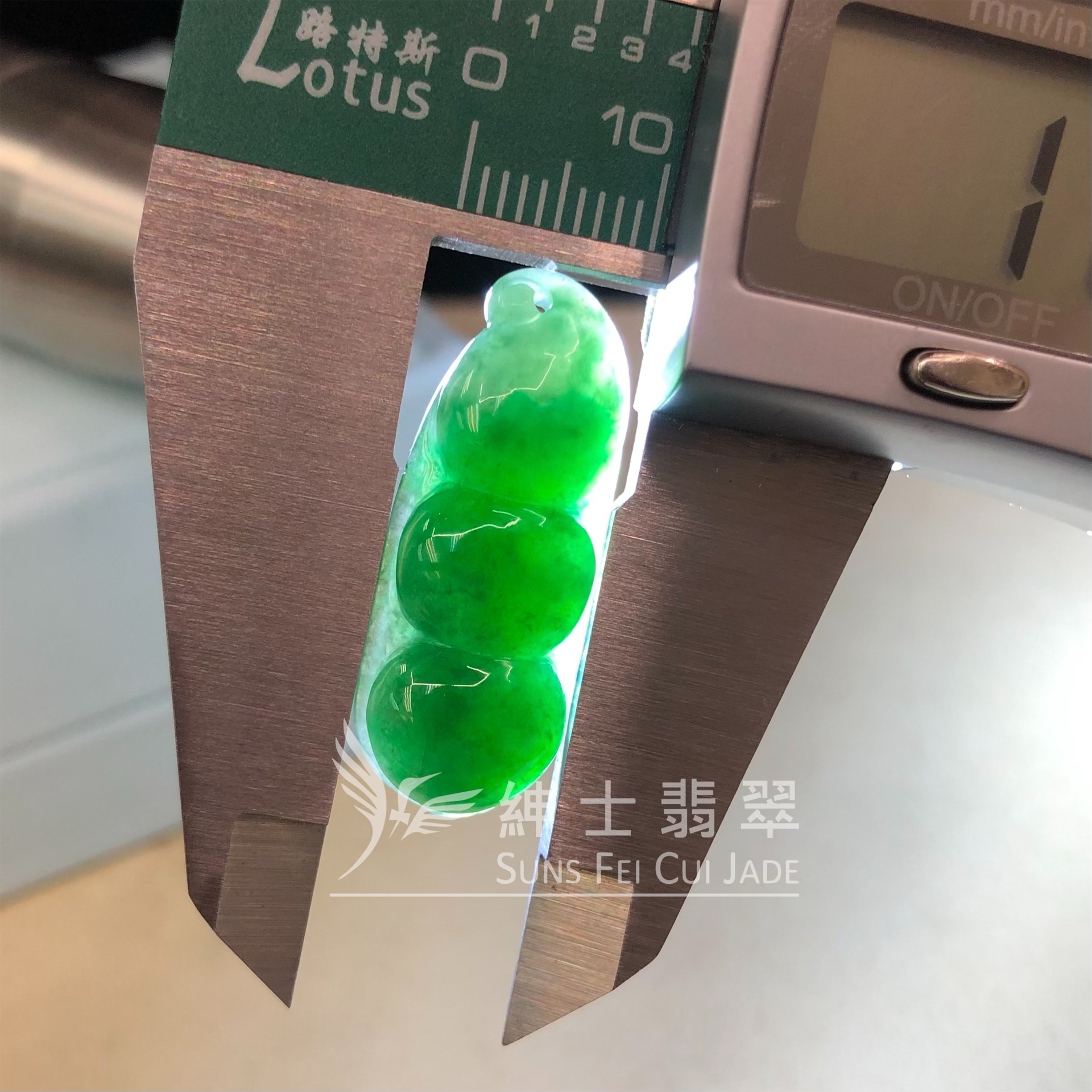 B08979 滿色福豆
