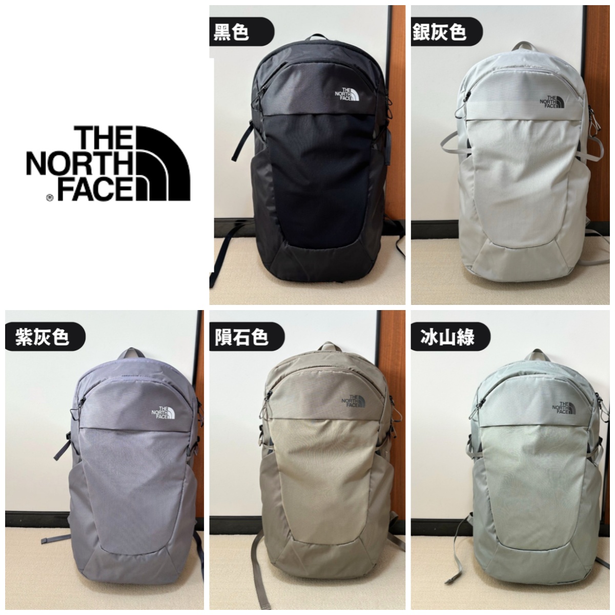 TNF 防潑水大容量背囊22L