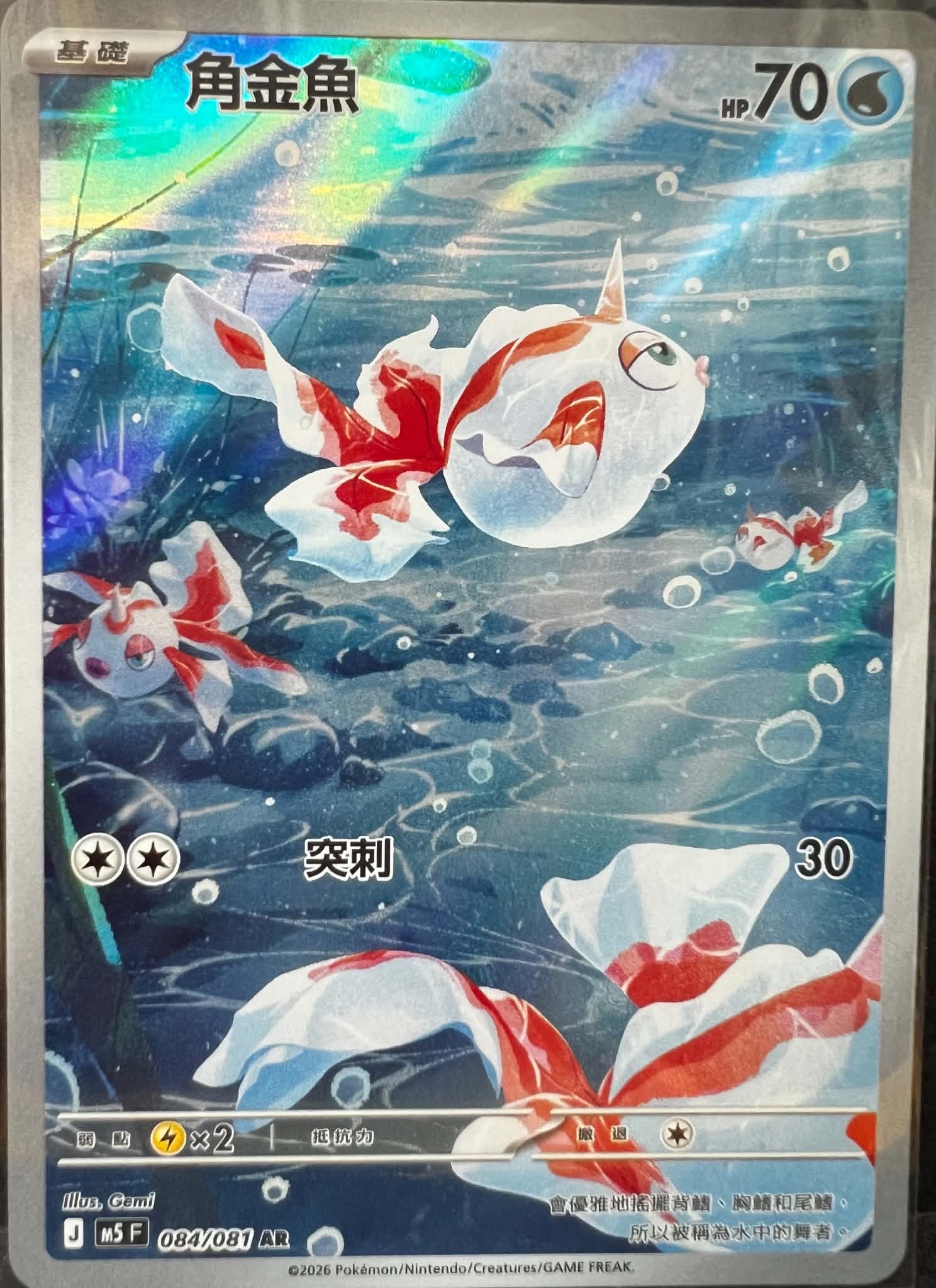 [M5]角金魚【AR】{084/081}