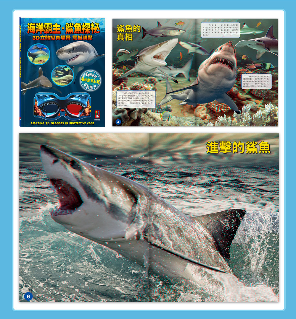 風車 海洋霸主．鯊魚探祕