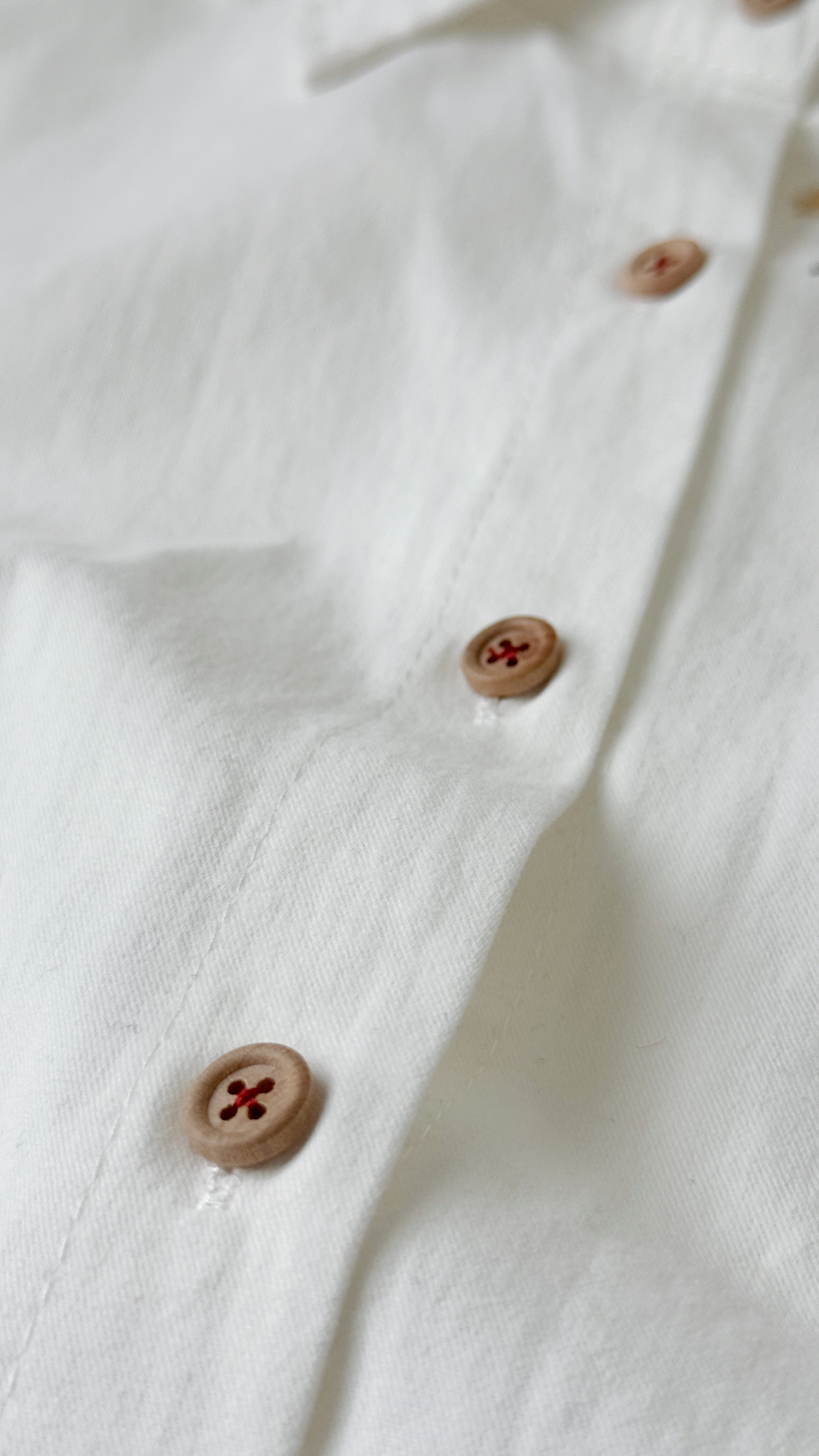 【自制限定款】 新意在枝·刺绣款白衬衫 (预购） 