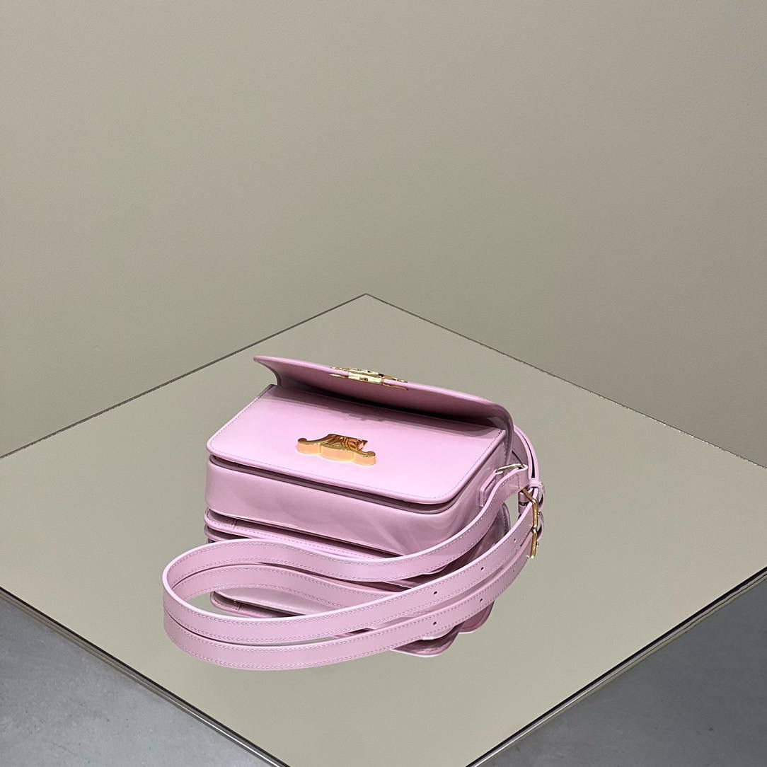 🔥大货实拍图 𝗖𝗘𝗟𝗜𝗡𝗘 ♥ 𝗧𝗘𝗘𝗡 𝗧𝗥𝗜𝗢𝗠𝗣𝗛𝗘 型号：188423 中号尺寸：22.5*16*7cm 小号尺寸：18.5*14*6cm