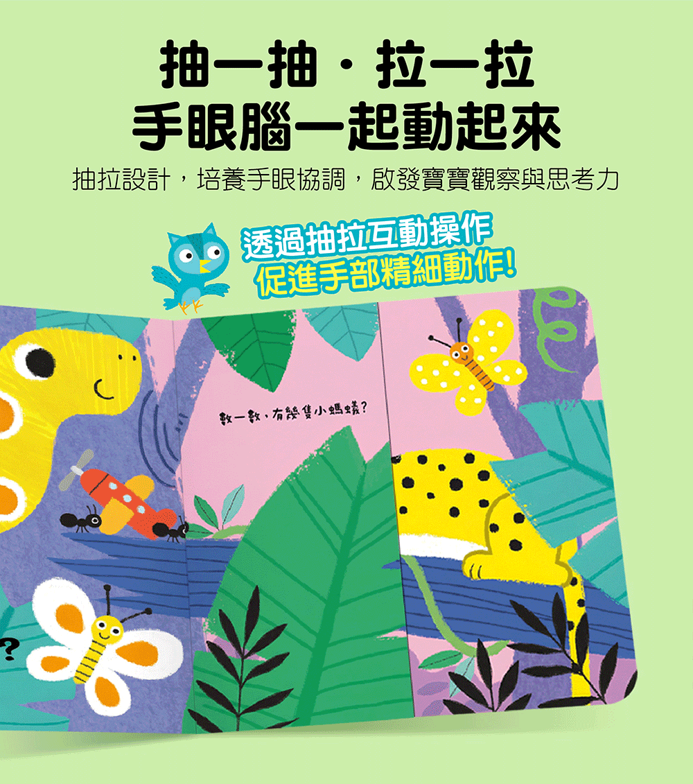 玩得停不下來的抽拉書-看我變變變