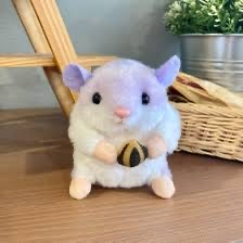 紫色倉鼠