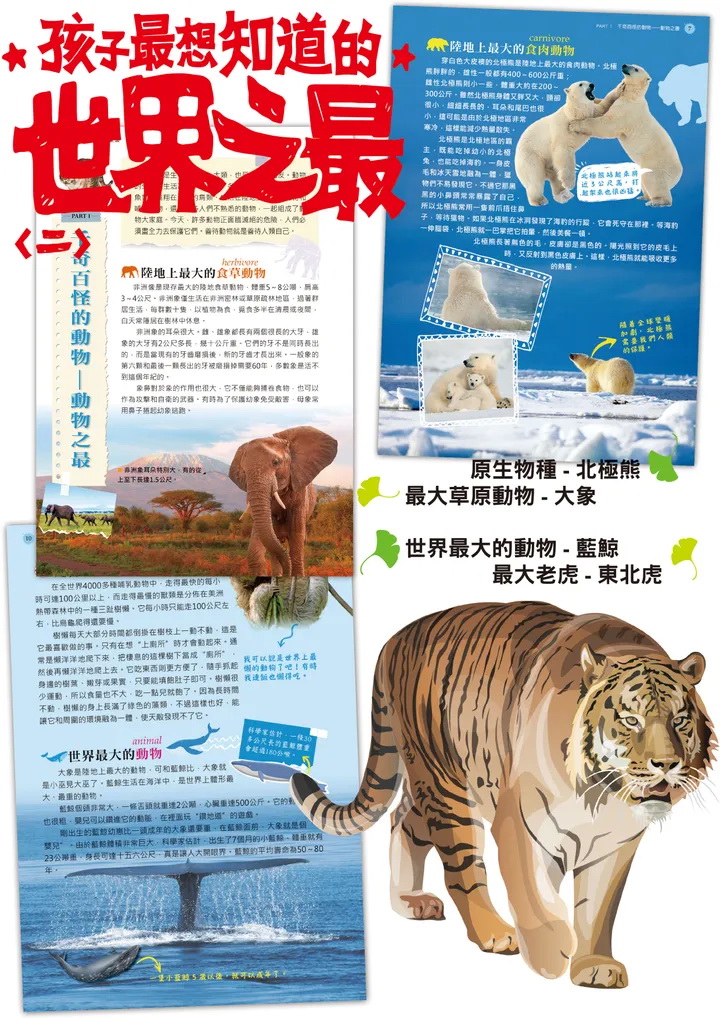 南門 孩子最想知道的世界之最3本