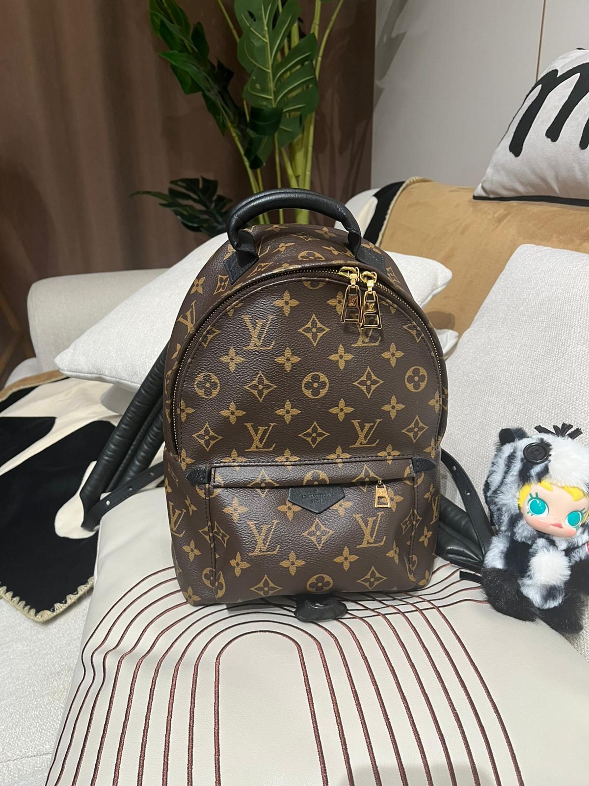 Lv backpack Palm Springs pm 100%Authentic,98%new ✅塵袋✅booklet
