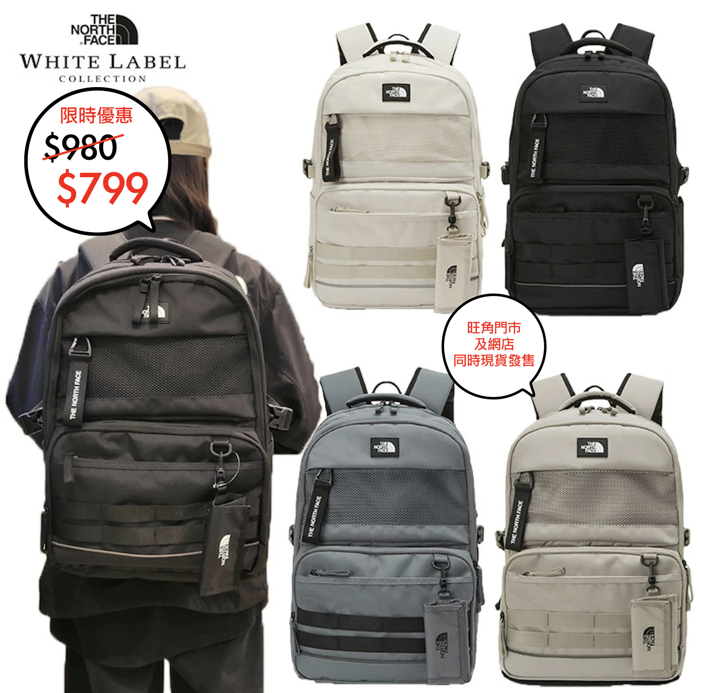 The North face 韓國限定 Dual pro III backpack 系列