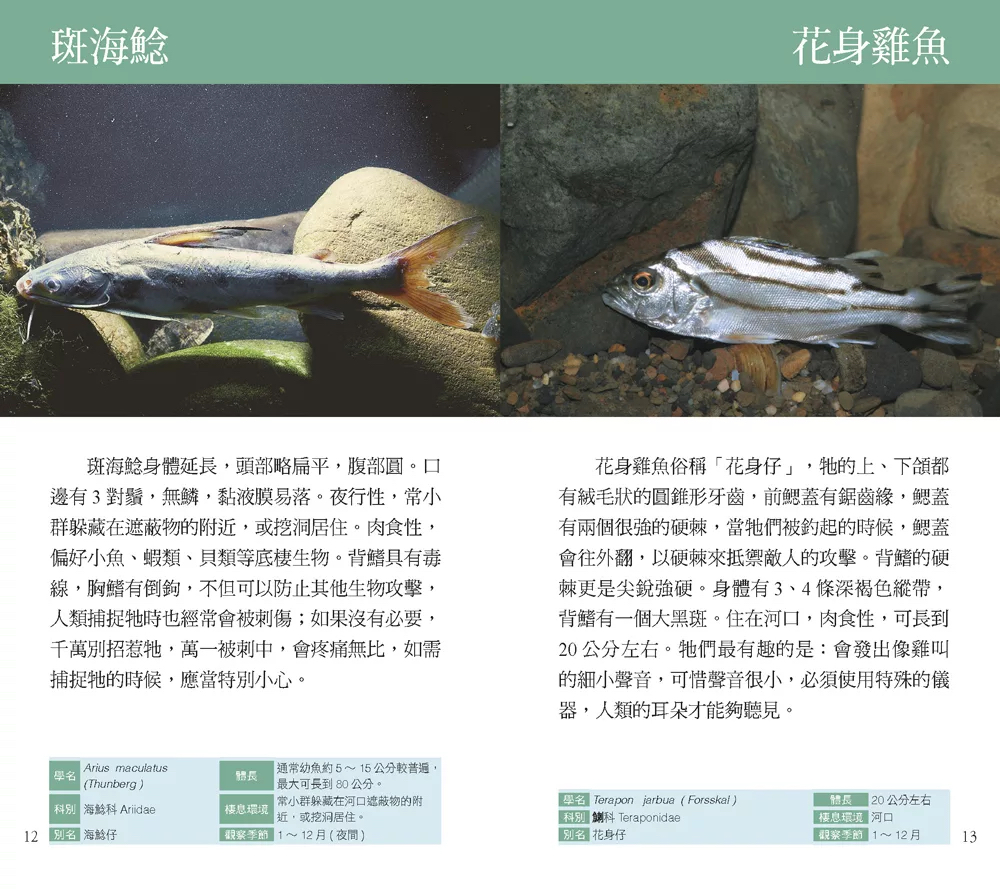 人人 溪流：120種流溪生物的奧秘