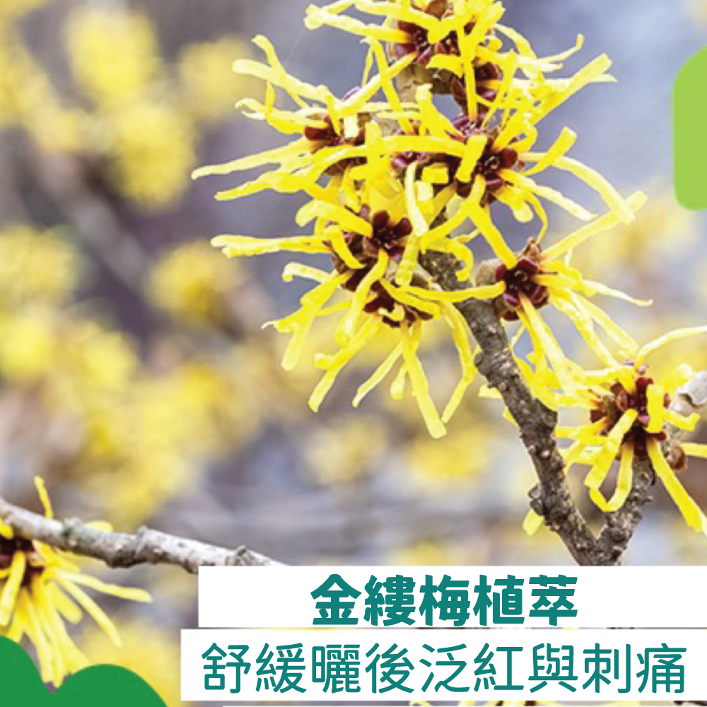 80600 Babo Botanicals 曬後舒緩保濕蘆薈啫喱 