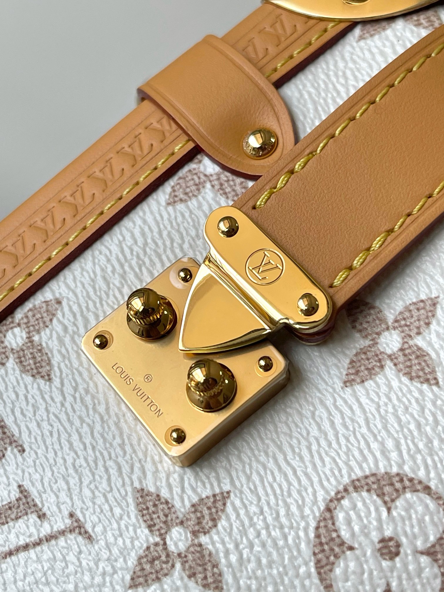 LV Louis Vuitton Side Trunk MM