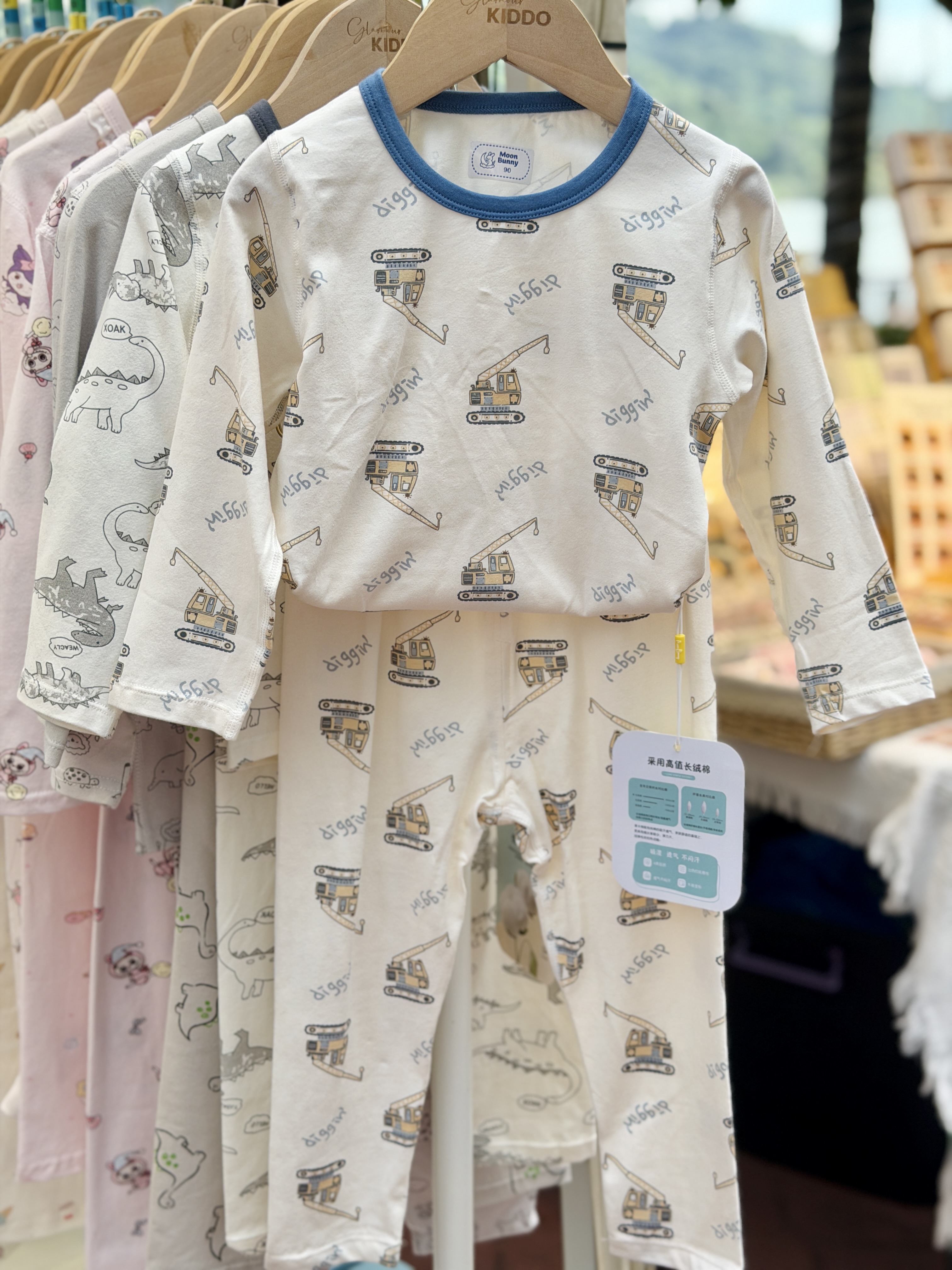 36100718 PJ Blue Crane Truck