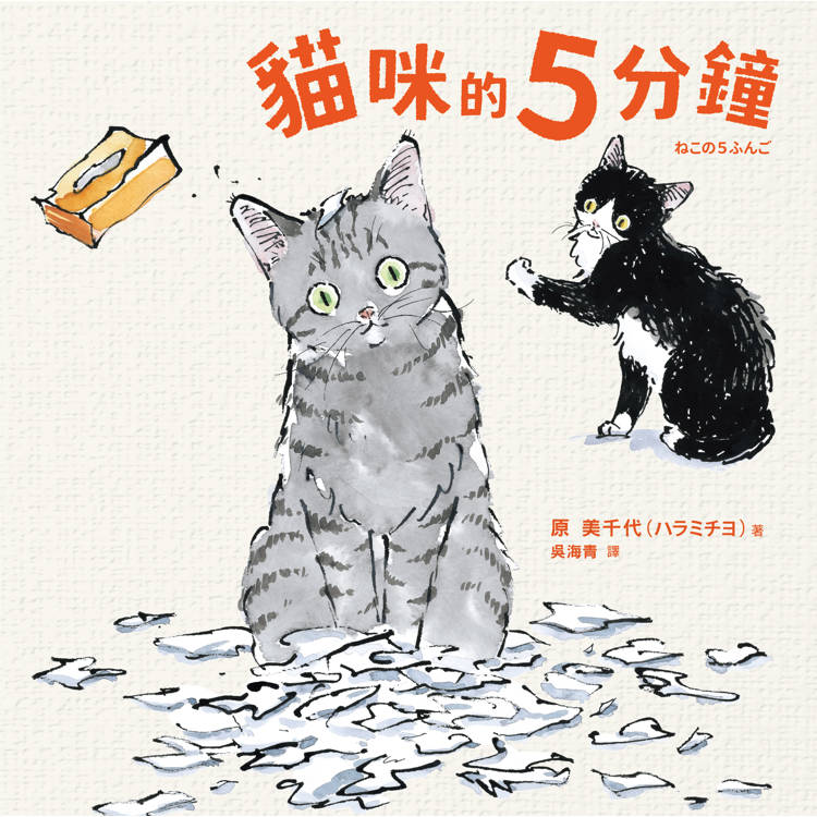 貓咪的5分鐘