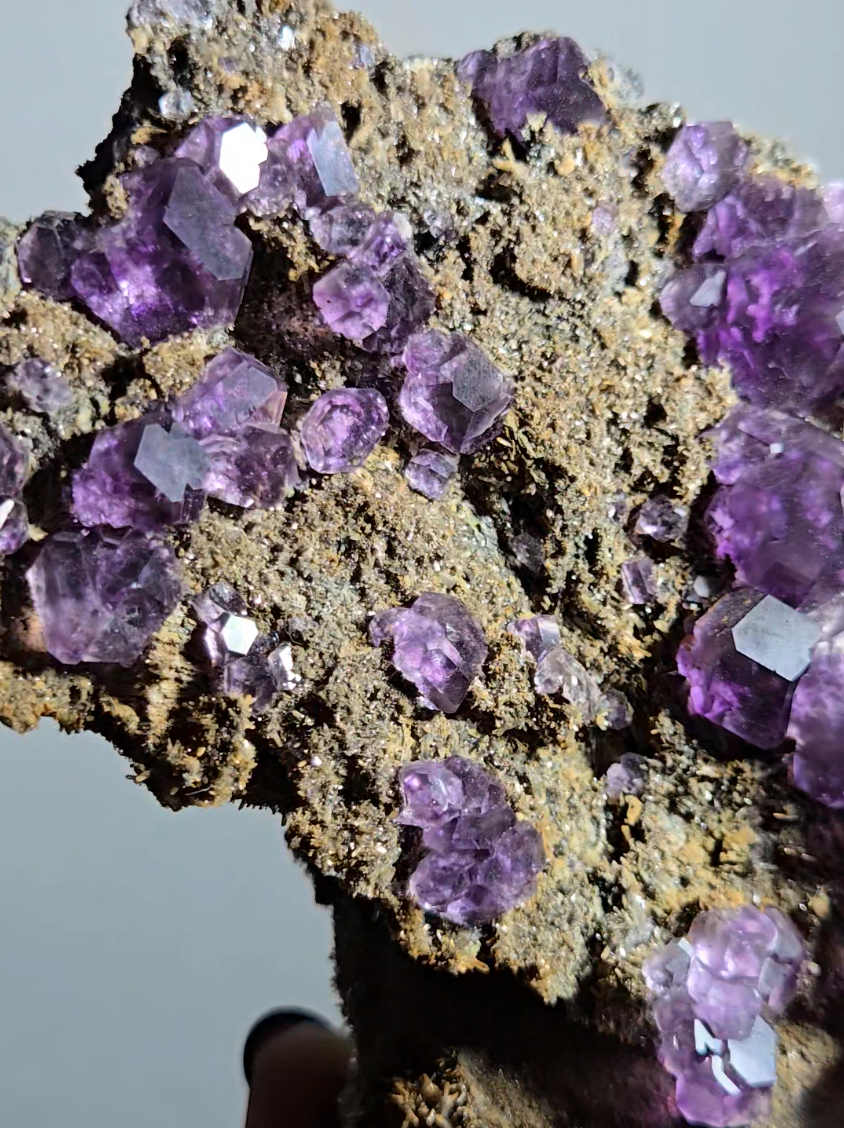 Tanzanite fluorite with perfect dodecahedrons - FL360