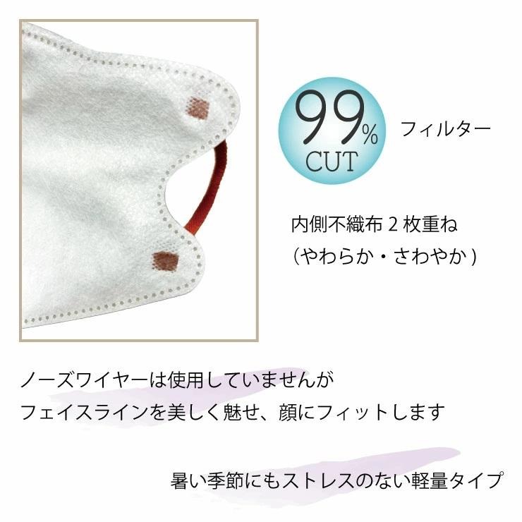 BICOLOR 3D MASK 10枚入 - 04260054