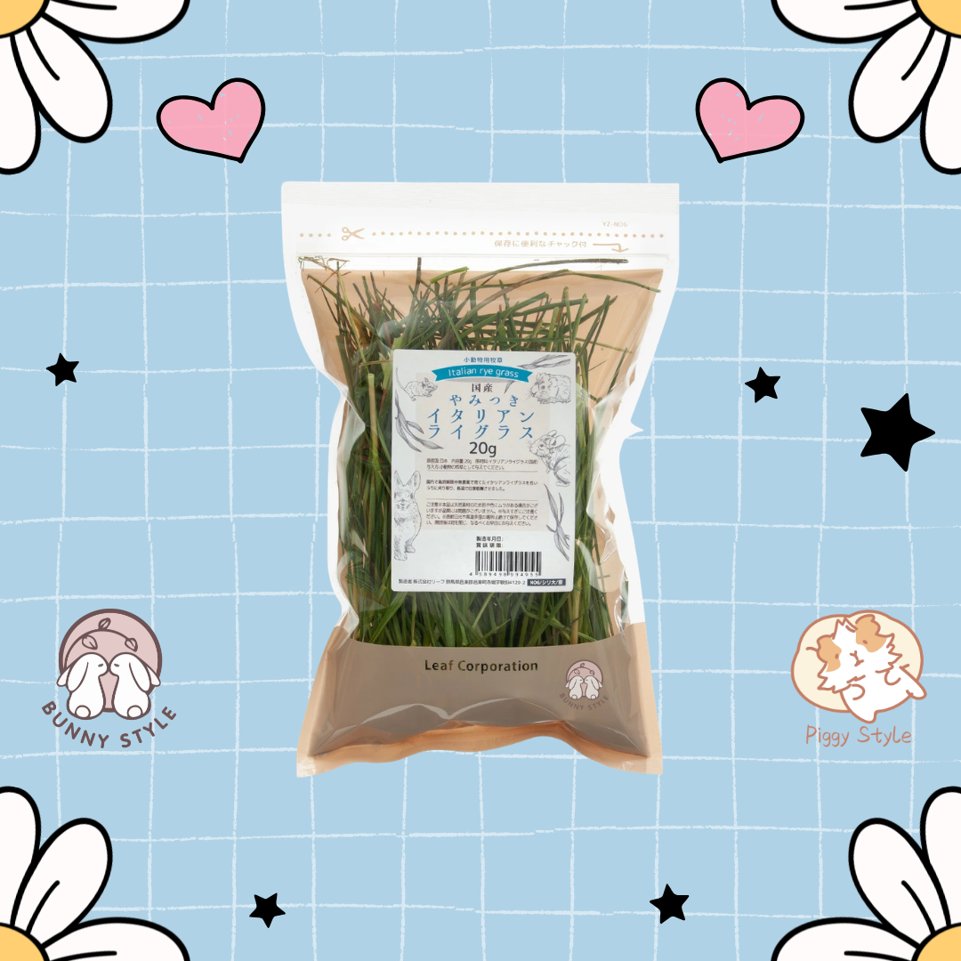 日本Leaf Corp 國產上癮義大利黑麥草 20g