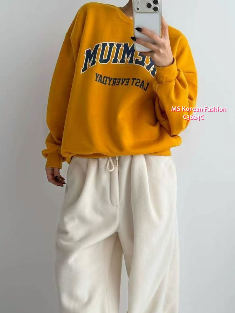 C3624 韓國🇰🇷靚色毛底衛衣