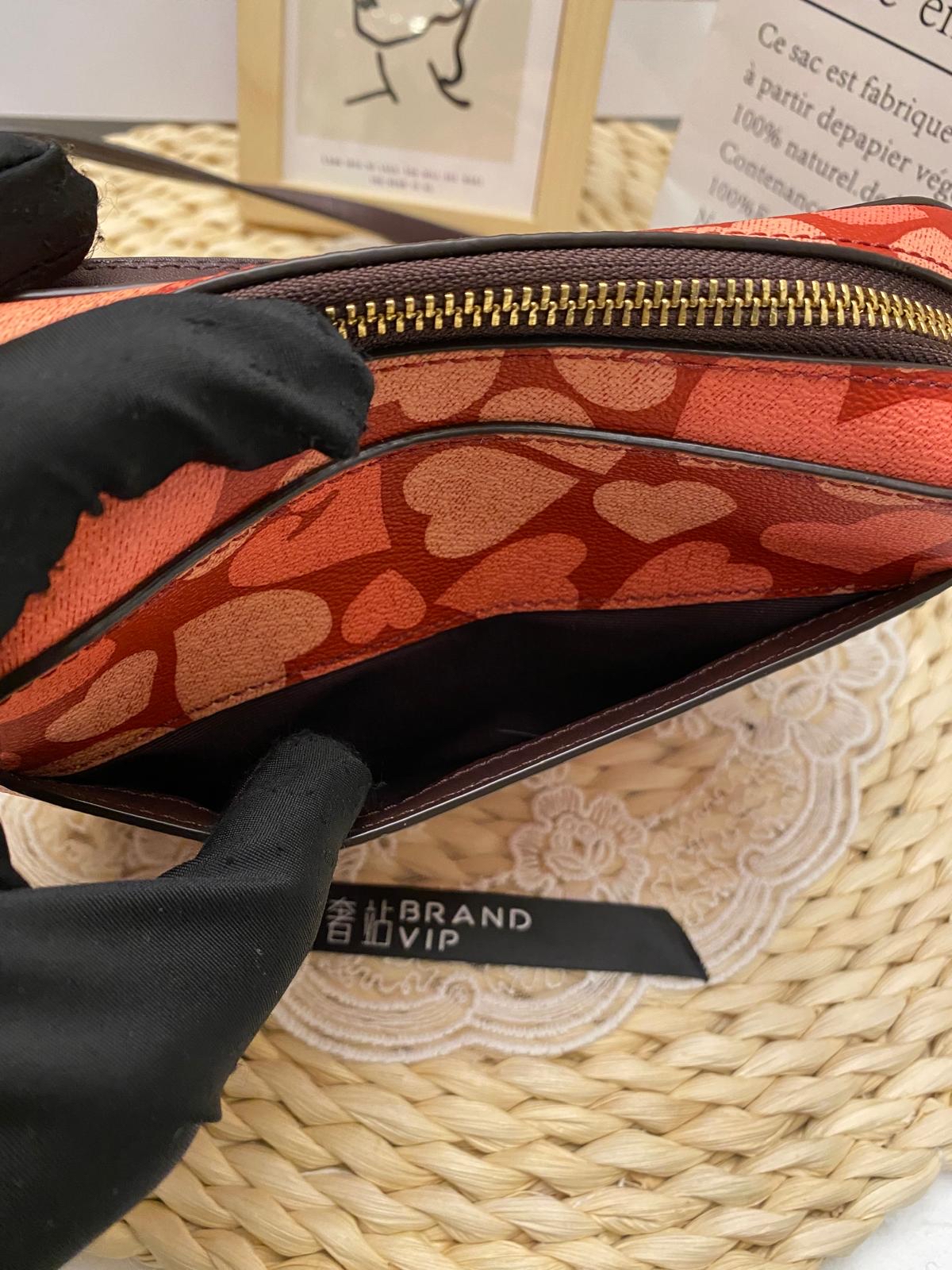 Coach Mini Camera Bag With Heart Print