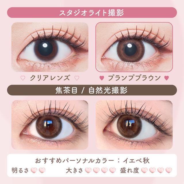 Malun Malun - Plump Brown (1day/10p)