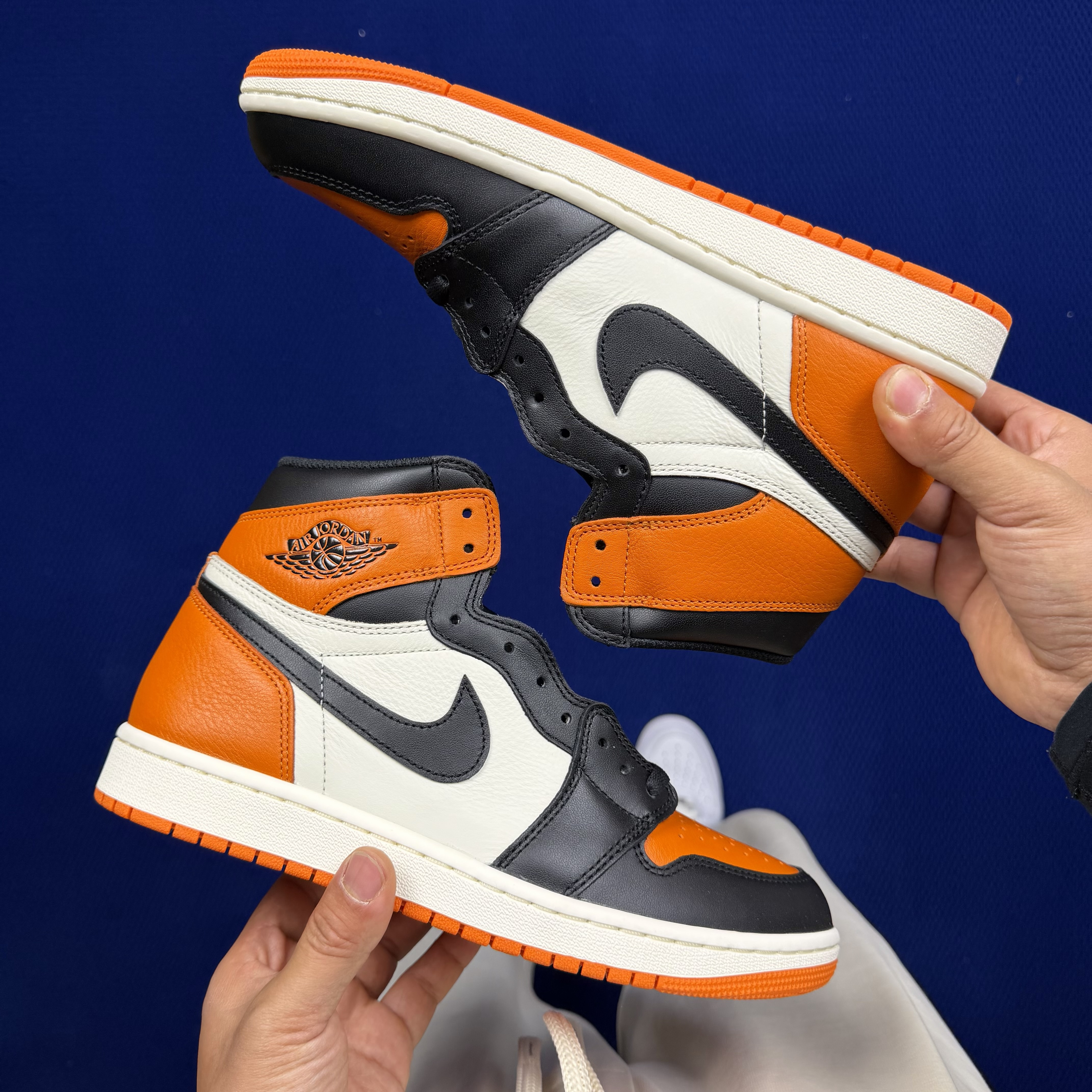 Nike Air Jordan 1 Retro High OG Shattered Backboard DZ5485-008