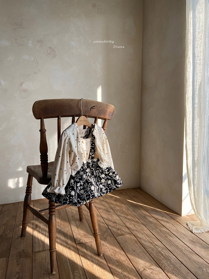 🇰🇷Anne shirley cardigan (不連背心）