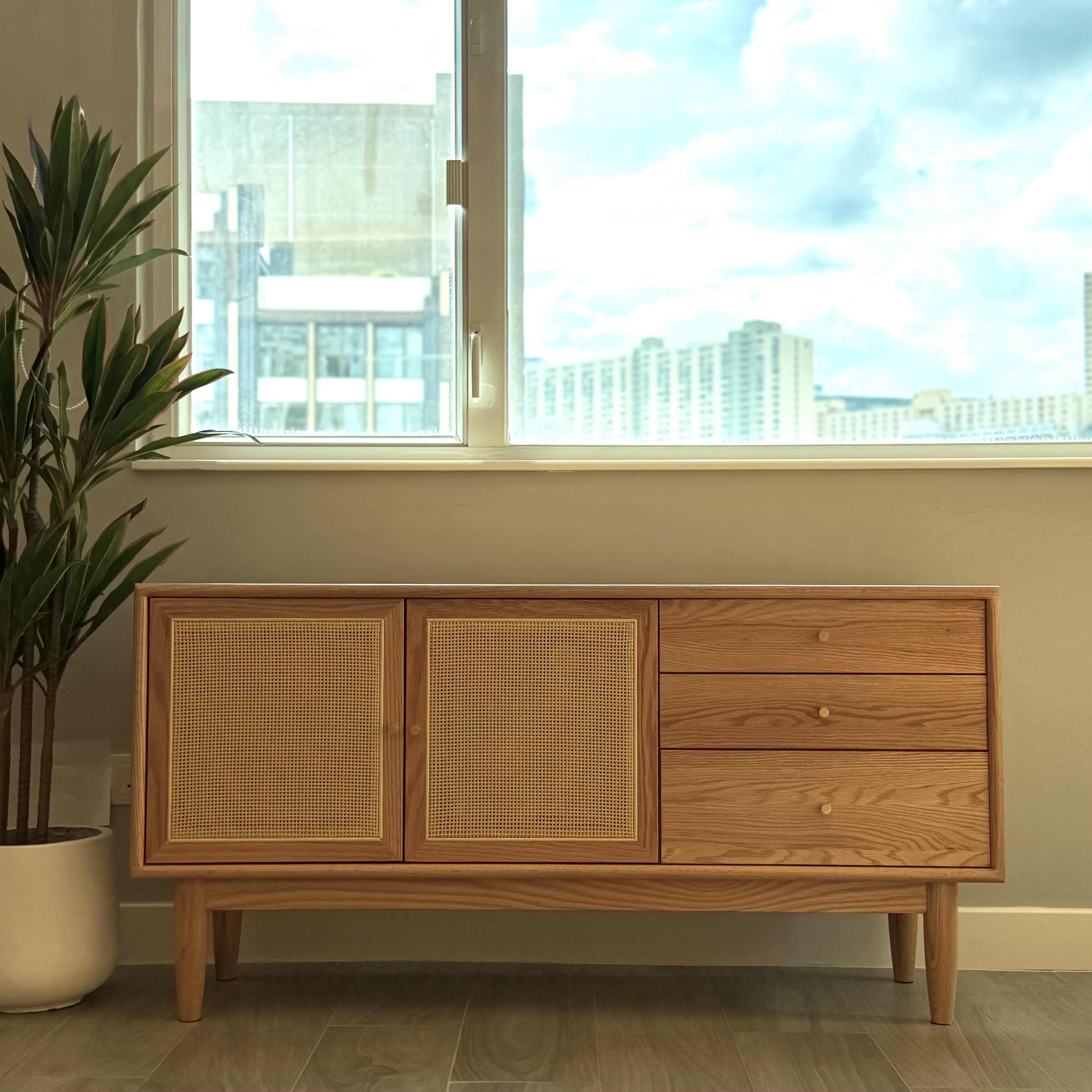 SAGION TV Cabinet