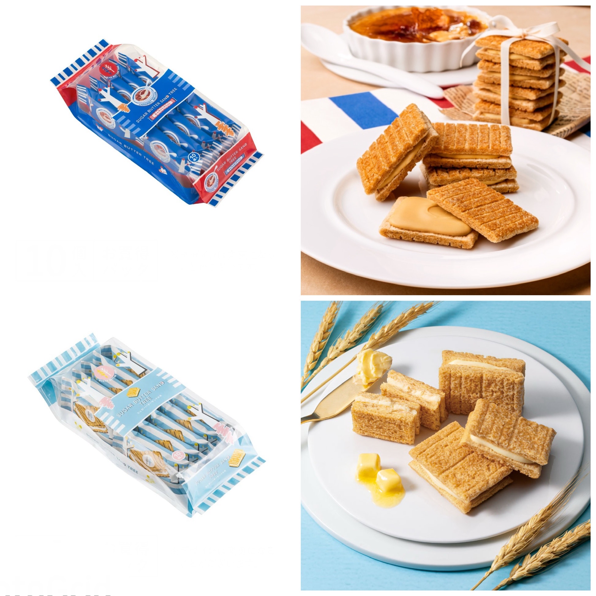 砂糖樹 Sugar Butter Sand Tree