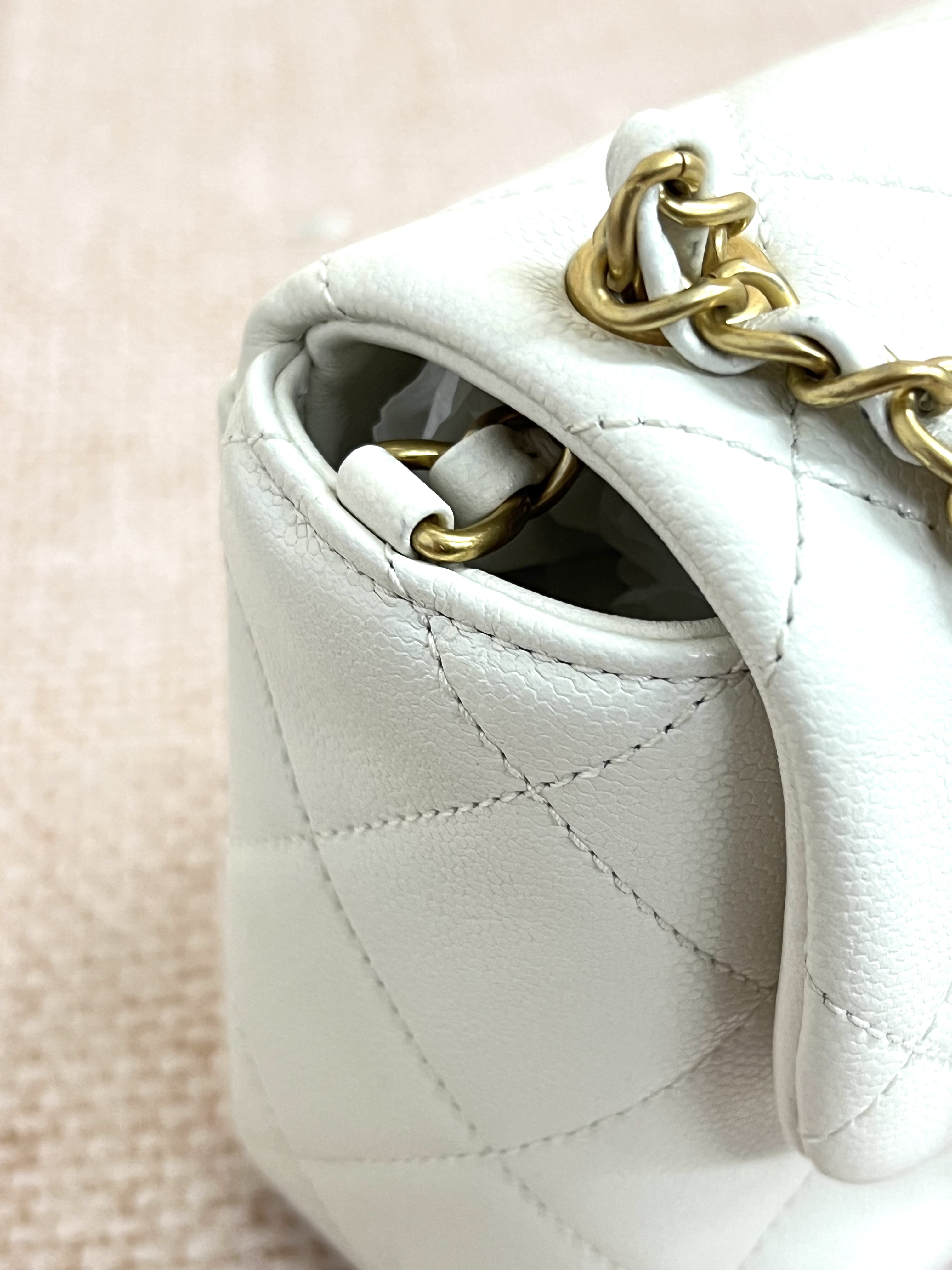 Pre-Owned CHANEL 19 Flap Bag / Product Code: 26042215