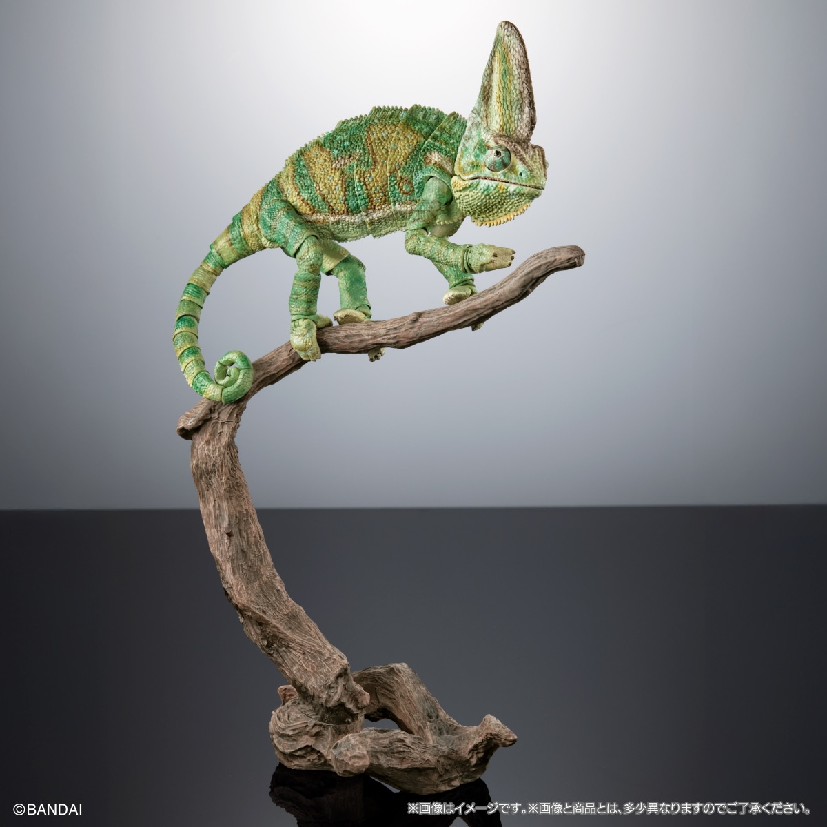 (預訂訂金 $200) (總價 $605) (Gashapon Online 限定) Bandai The Diversity of Life on Earth Premium Chamaeleo Calyptratus 生物大圖鑑 Premium 高冠變色龍 扭蛋 (行版) 