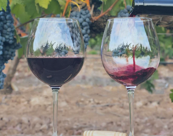 90919/D3156/470ML/紅酒杯/SO WINE