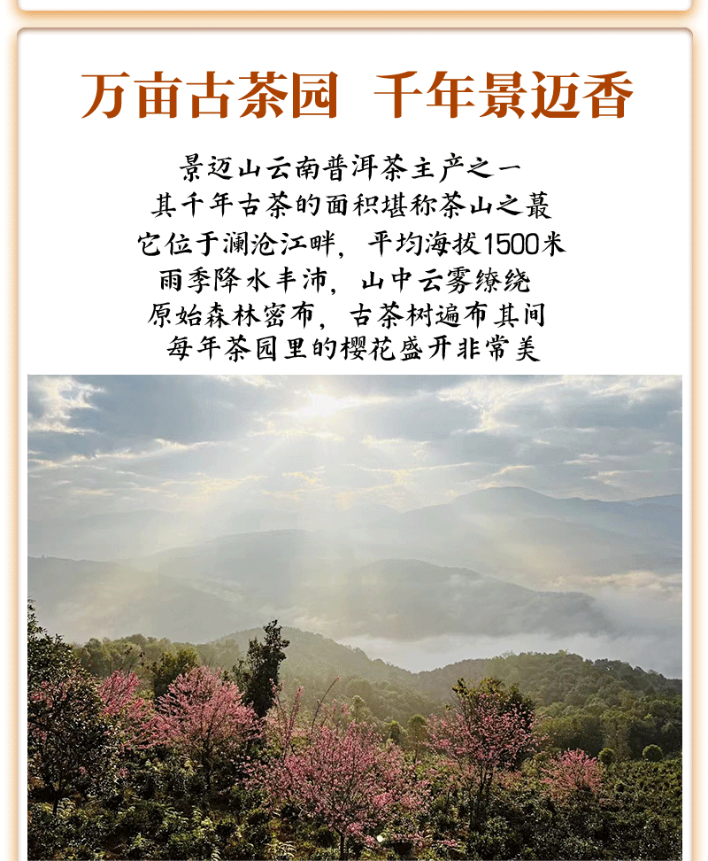 【如愿】岁月如茶🍵此生如愿足以 金双罐装