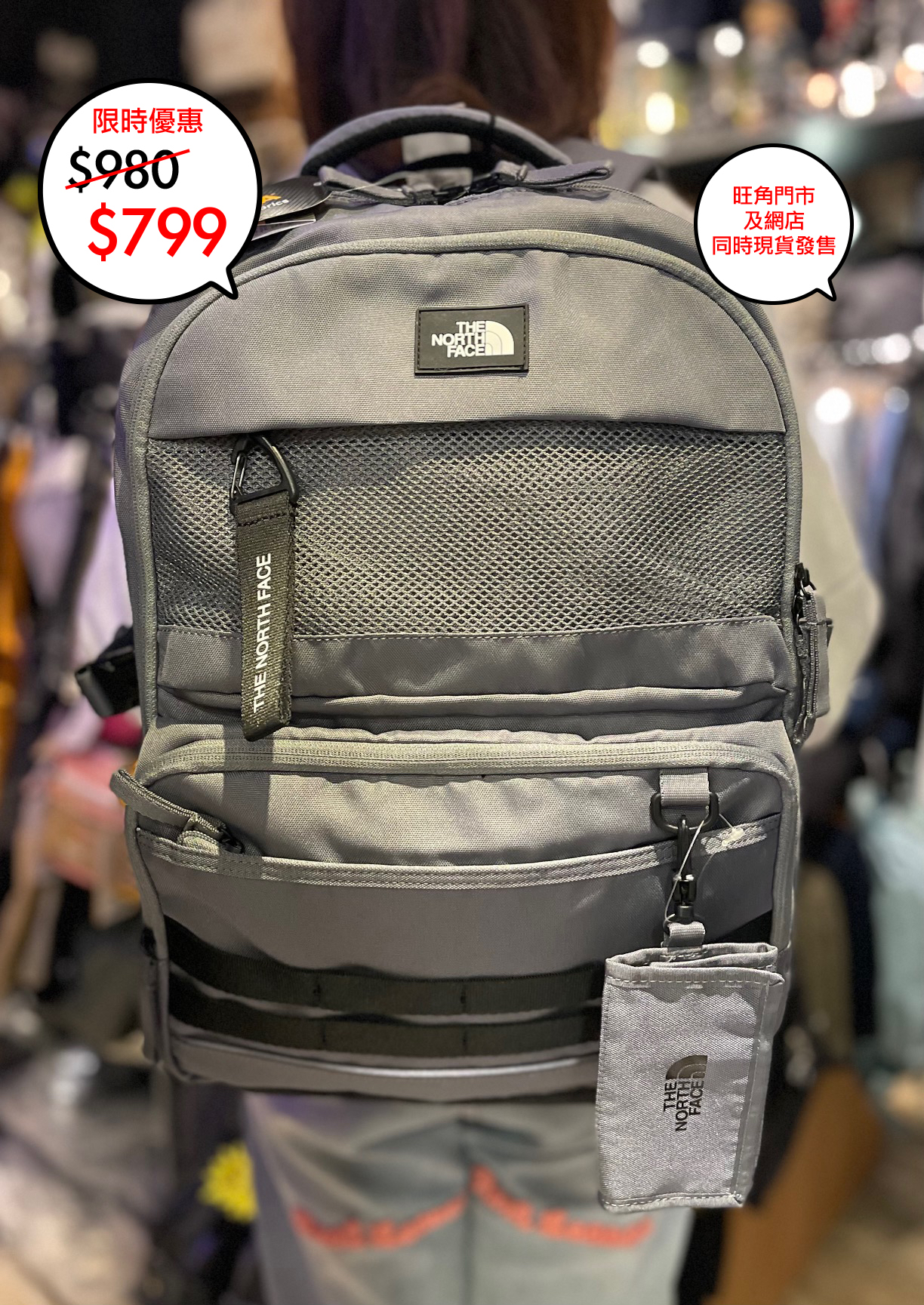 The North face 韓國限定 Dual pro III backpack 系列