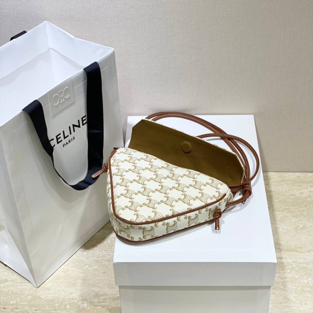 🔥大货实拍图 𝗖𝗘𝗟𝗜𝗡𝗘 ♥ 𝗧𝗥𝗜𝗢𝗠𝗣𝗛𝗘 𝗖𝗔𝗡𝗩𝗔𝗦三角形手袋 𝑪𝒆𝒍𝒊𝒏𝒆2021春夏竟出其不意的玩起了异形包，三角形造型很是别致，彰显不羁姿态，男女同款，吸晴选手✔ 型号：195902 尺寸：21*15*4cm