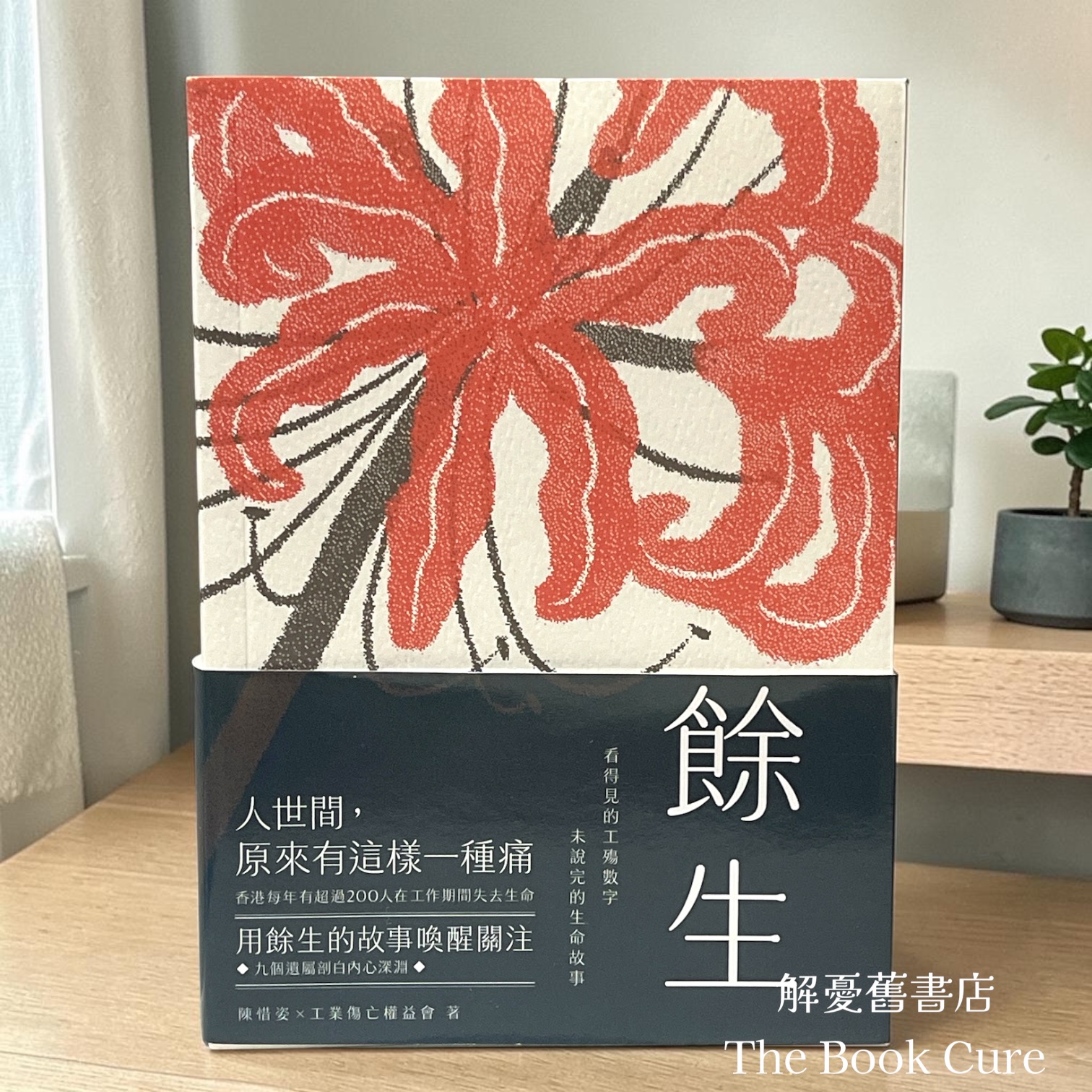 餘生：看得見的工殤數字 未說完的生命故事 / 陳惜姿、工業傷亡權益會 著