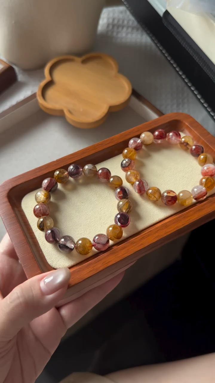 牛血红 红胶花 | Hematoid 