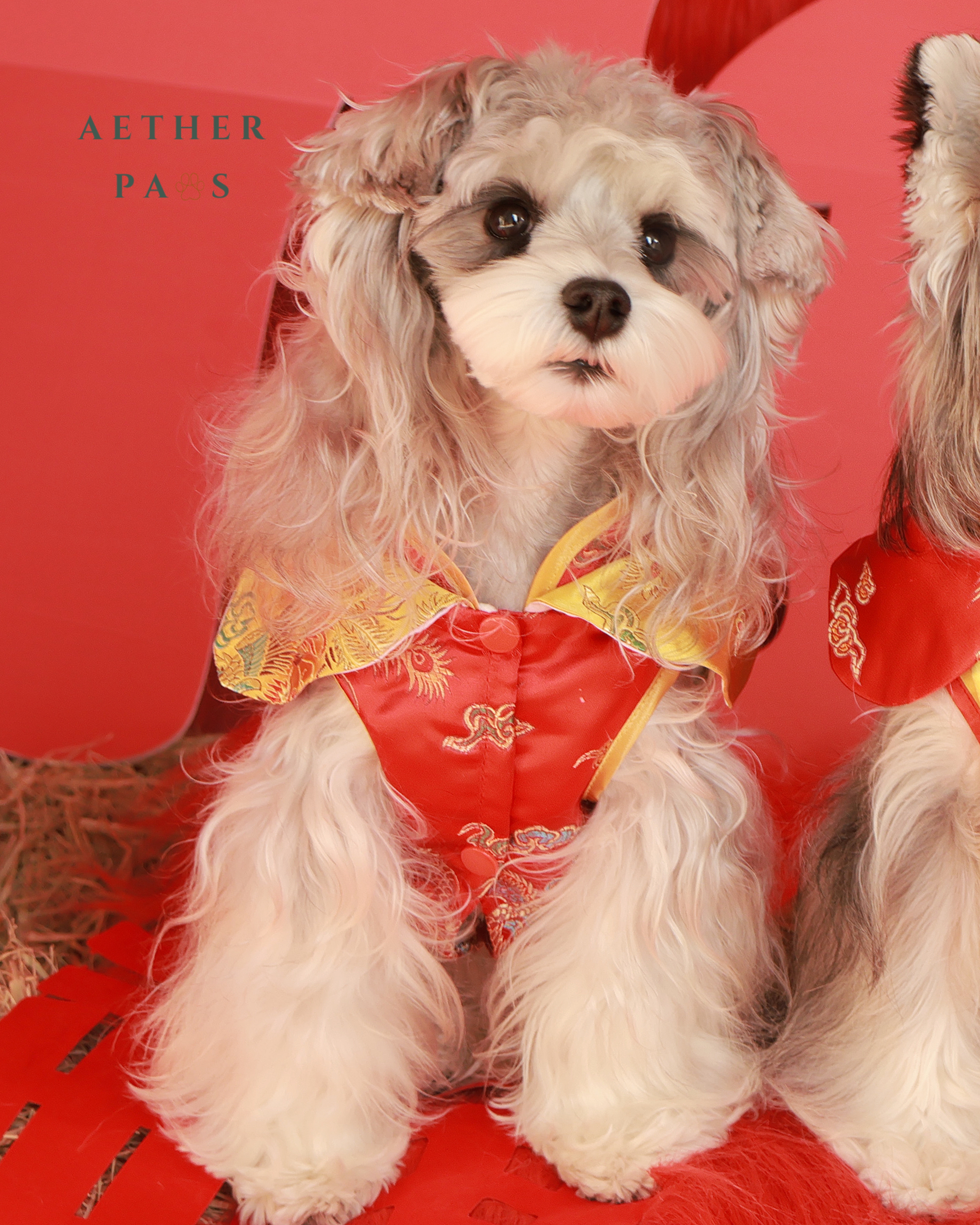 Velvet Mandarin Cheongsam