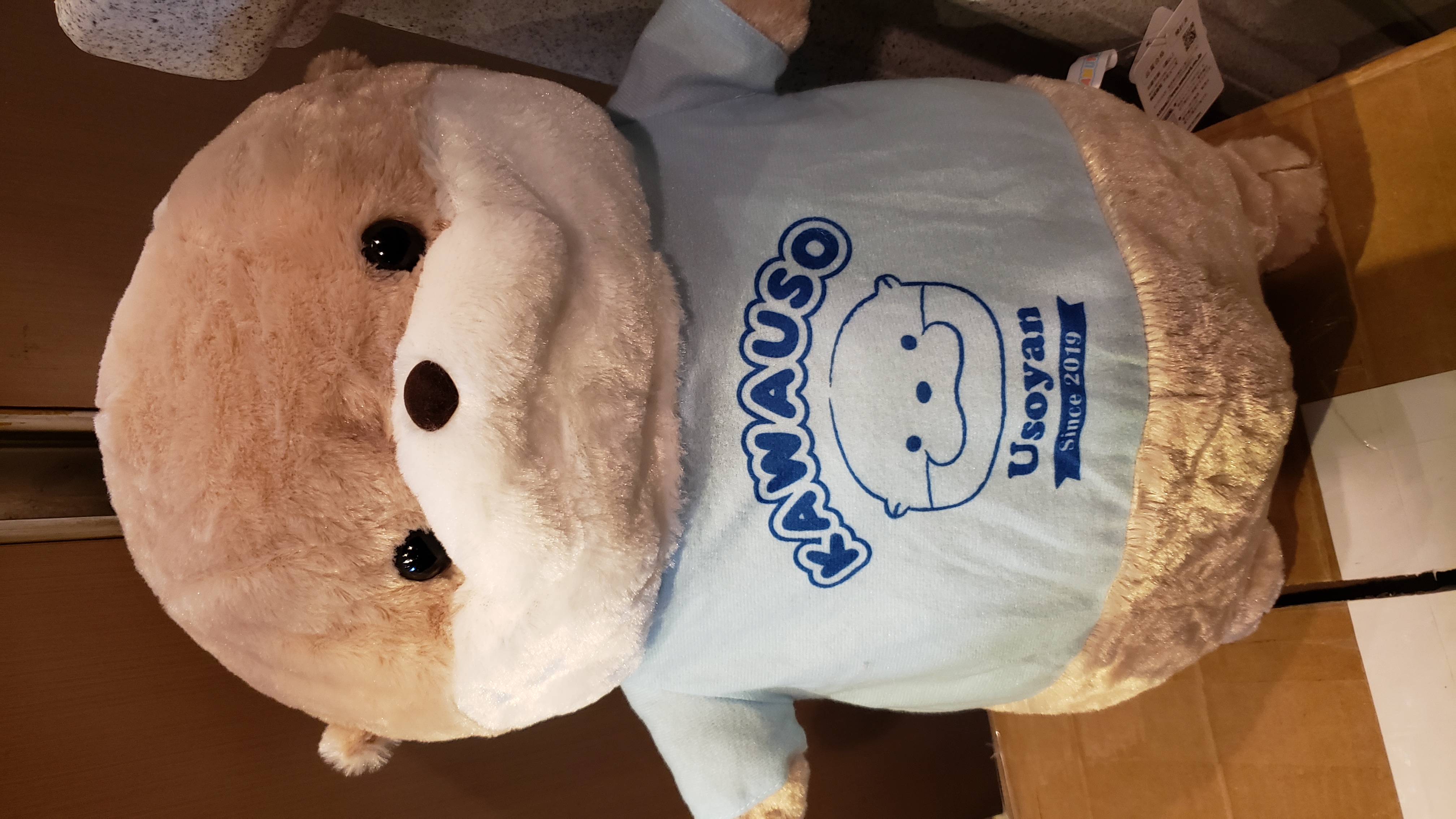 Amufun藍色T恤水獺（48cm）