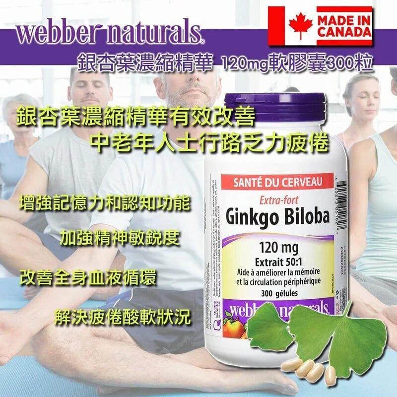 加拿大造Webber naturals銀杏葉濃縮精華 Ginkgo Biloba 120mg 軟膠囊 300粒-5月中到貨