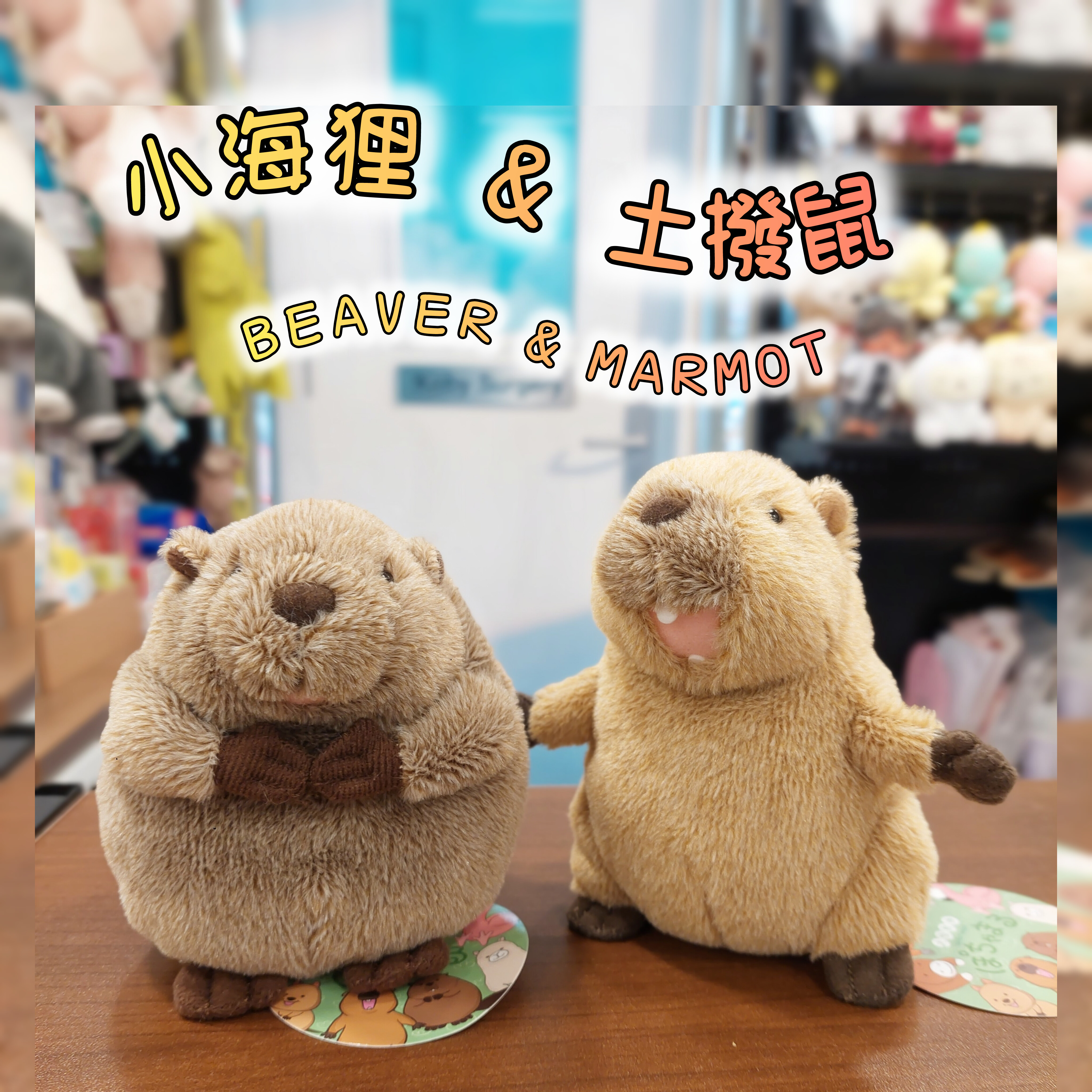 原裝日本可愛之選 土撥鼠 ＆ 小海狸公仔Beaver ＆ Marmot 小公仔 11- 12cm