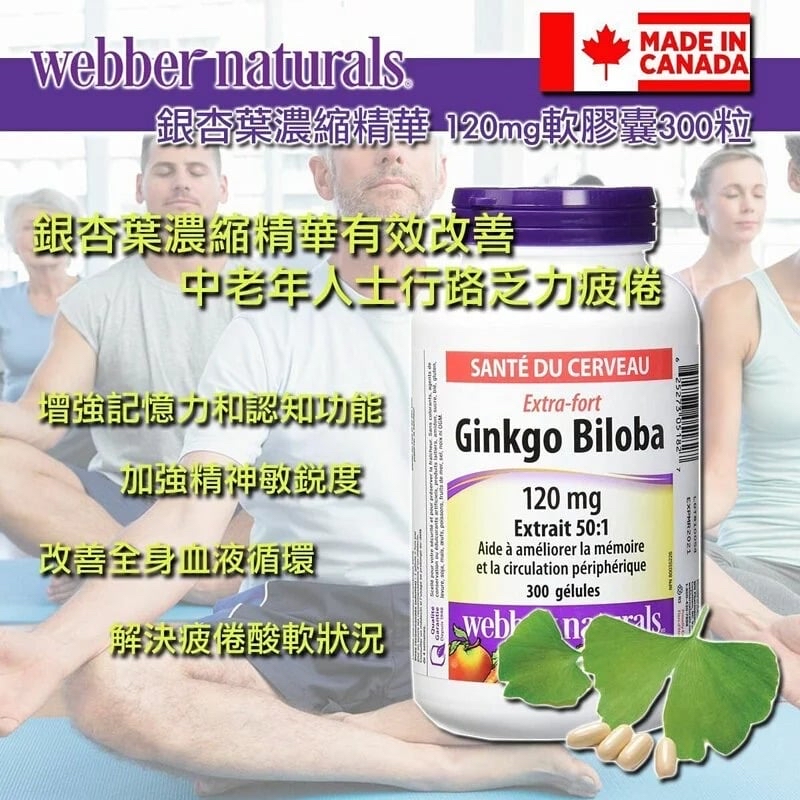 加拿大造Webber naturals銀杏葉濃縮精華 Ginkgo Biloba 120mg 軟膠囊 300粒
