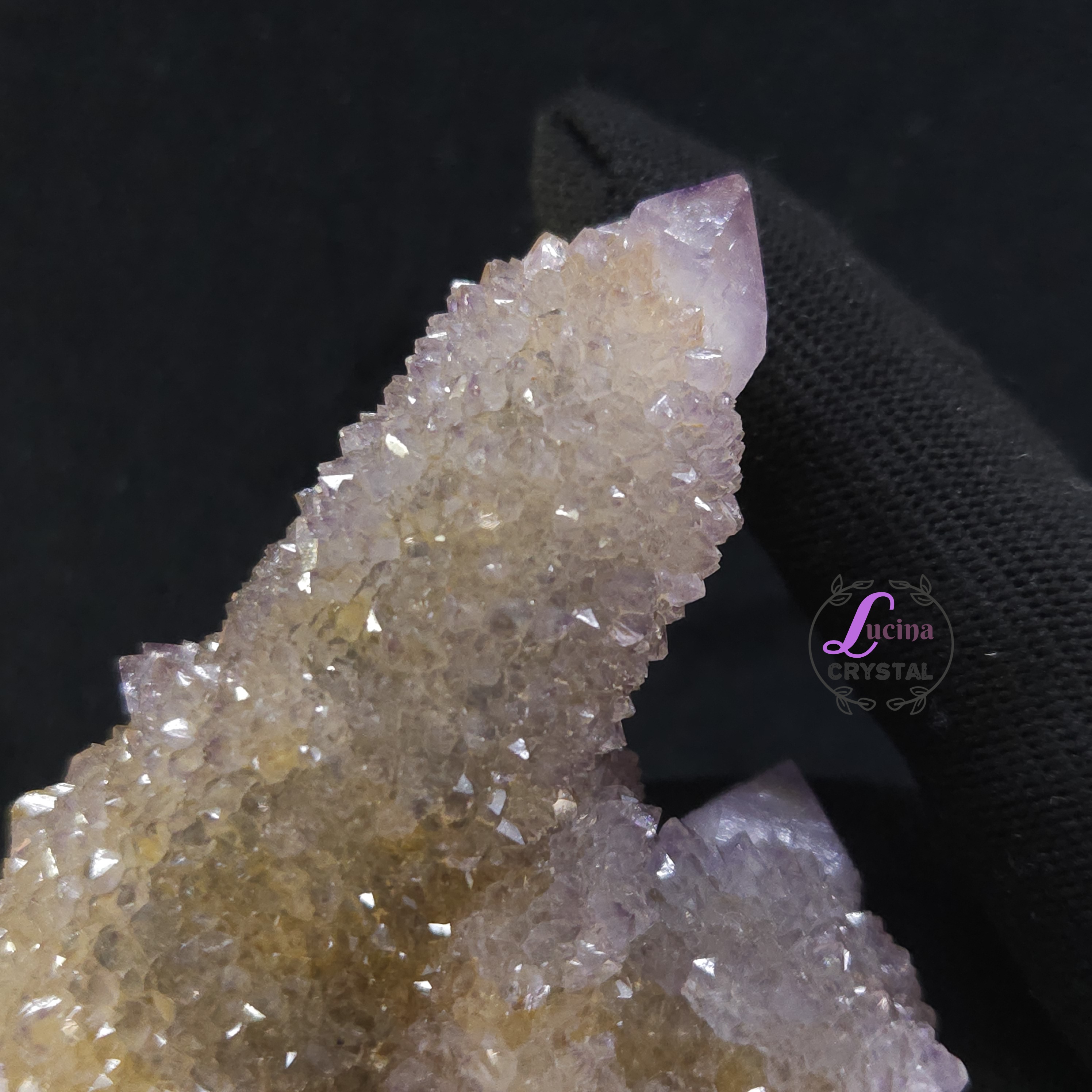 (Co#LC8559) 仙人掌紫水晶/Cactus Amethyst Cluster