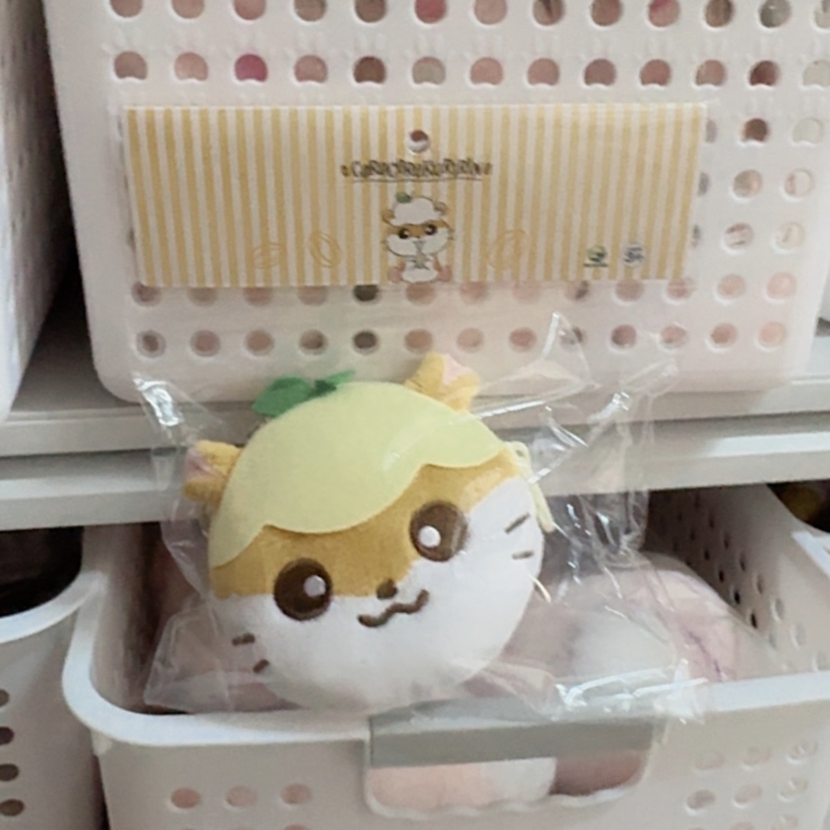 現貨｜韓版 ck鼠大頭零錢包連扣