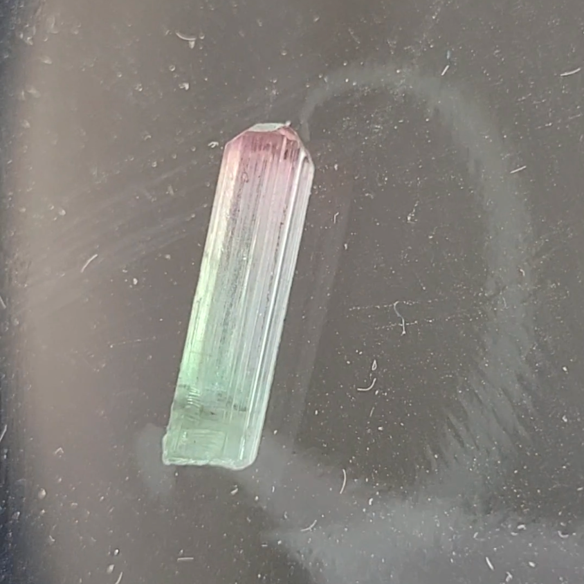 Bi-color tourmaline specimen from Afghanistan - TR48