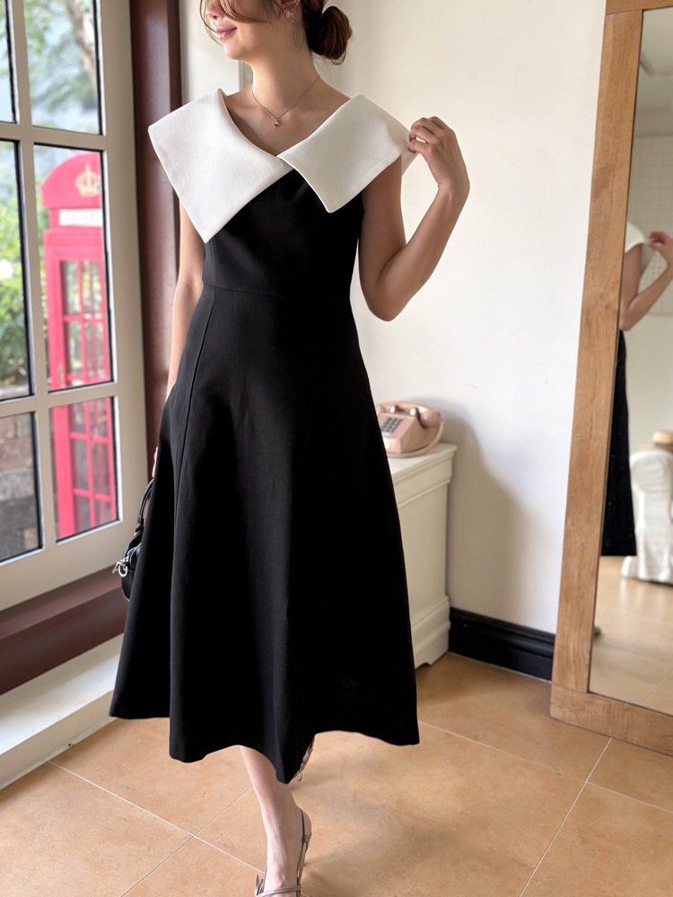 Celine Contrast Collar Dress